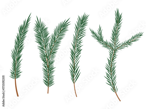 Fir tree branches vector illustration set. Green pine twigs with needles isolated on white background. Evergreen conifer holiday decoration for Christmas, winter design, cards in flat cartoon style