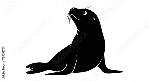 Silhouette of a sea lion sitting upright and looking up vector illustration