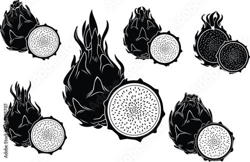 Black and white dragon fruit illustration, exotic pitaya fruit sketch, tropical food vector, sliced pitaya drawing