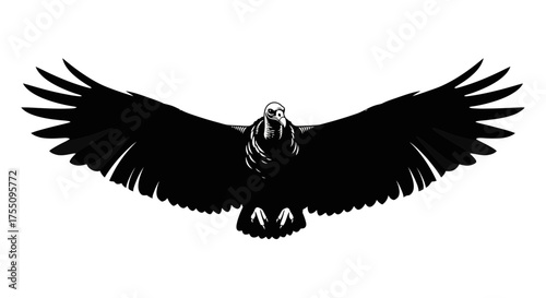 Silhouette of a vulture flying with its wings spread wide, vector illustration