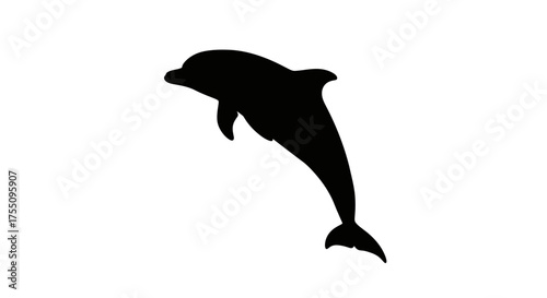 Silhouette of a dolphin, capturing its graceful movement and aquatic nature