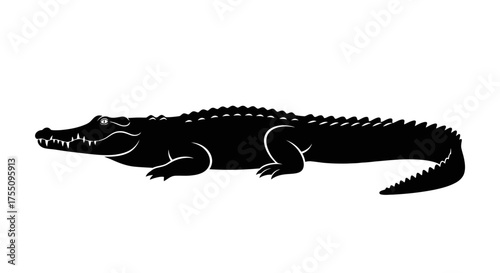 Silhouette of an alligator, showcasing its distinctive features and reptilian form
