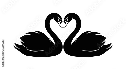 Silhouette of two black swans forming a heart shape, symbolizing love and romance
