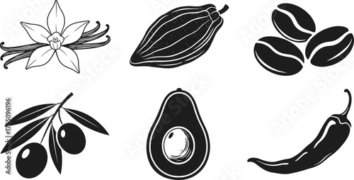Cad drawing flat vector illustration of vanilla, cacao, coffee, olive, avocado, chili, botanical food ingredients, black and white