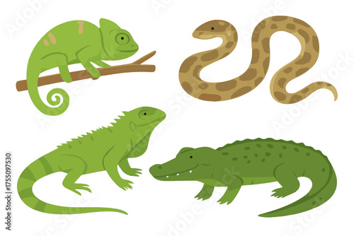 Cute cartoon reptiles jungle creatures diverse set