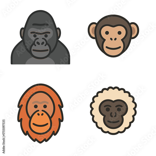 Diverse primate faces set for wildlife exploration