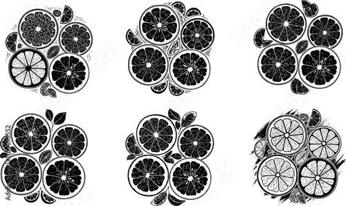 Citrus fruit slice, black and white, orange lemon grapefruit, hand drawn, botanical sketch, ink line art, healthy food, kitchen decor,