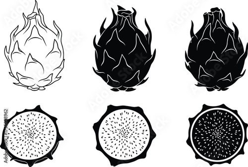 WebDragon fruit vector set, black and white fruit illustration, cross-section tropical fruit, CAD drawing flat vector illustration, food art