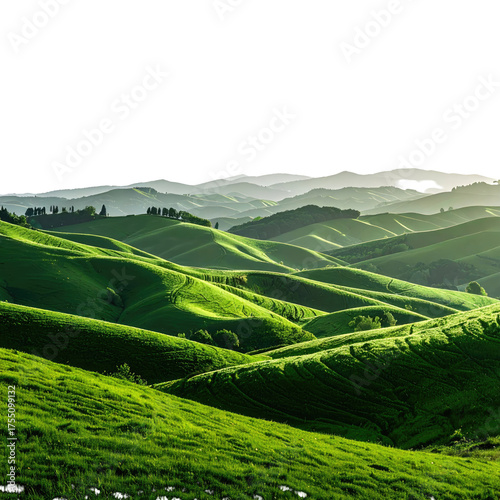 Lush green rolling hills bathed in sunlight, creating a landscape of shadows and light