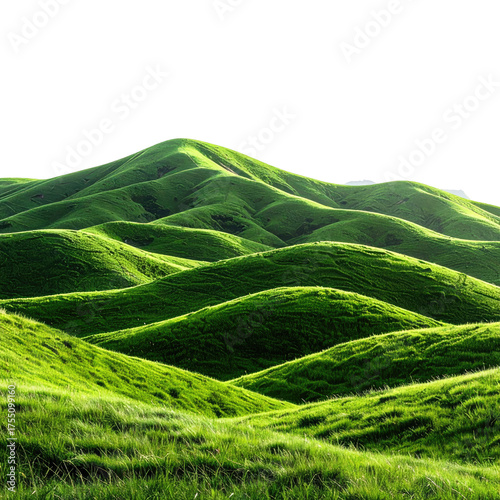 Rolling green hills bathed in sunlight, creating a serene landscape with a black sky