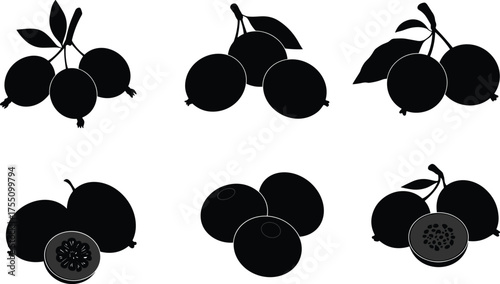 Fruit silhouette vector, passion fruit icon, tropical fruit shapes, botanical illustration, cut section detail, black isolated design, editable