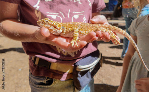 A Man holding a Bearded Dragon in his arms to learn about reptiles.