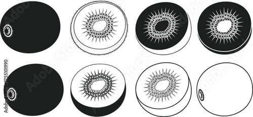 Kiwi fruit sketch, black and white vector, sliced kiwi illustration, abstract fruit design, cad drawing flat vector illustration, healthy food concept