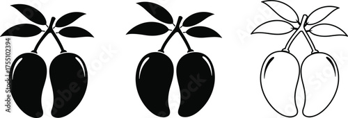 Mango silhouette, mango highlight, mango outline, fruit vector, tropical design, black white style, healthy food, minimal art, organic, fresh