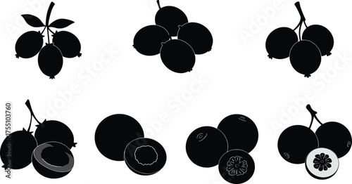 Tropical fruit cluster illustration, passion fruit silhouette, black vector design, cross-section detail, botanical sketch, exotic fruit anatomy, summer harvest icon