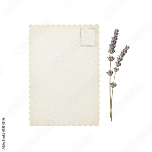 A blank, off-white vintage linen postcard with a scalloped edge and textured paper, beside a pale purple dried lavender sprig on a clean gray background, minimalist still life concept
