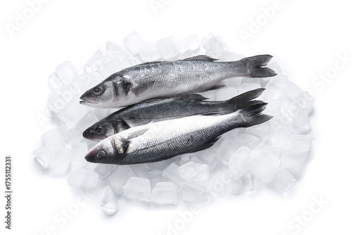 Fresh Sea Bass on Ice