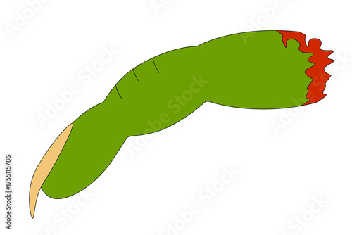 A creepy, green witch finger with a severed tip. Perfect for Halloween themed projects, zombie inspired designs, or adding a horror element to spooky decorations or artwork. Body part.
