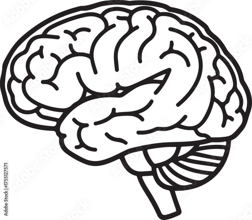 Human Brain Illustration for Medical or Educational Purposes in Black and White