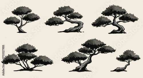 Vector Set of Traditional Japanese Bonsai Tree Black and White Illustrations