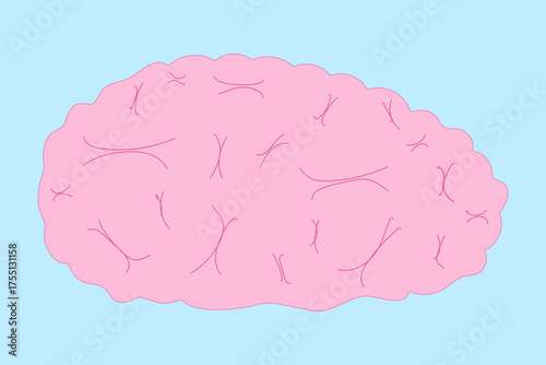 A pink brain illustration with intricate details. Ideal for Halloween themed projects, horror designs, or any spooky related artwork featuring anatomy, internal organs, eerie visuals. Internal organ.