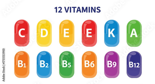 Understanding the Essential Roles of Twelve Different Vitamins for Human Health and Well Being