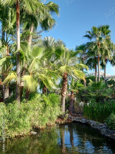 jardin Botanique de Puerto de la Cruz à Tenerife