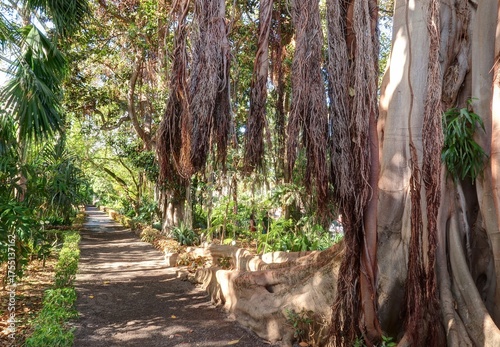 jardin Botanique de Puerto de la Cruz à Tenerife