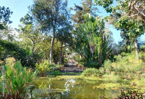 jardin Botanique de Puerto de la Cruz à Tenerife