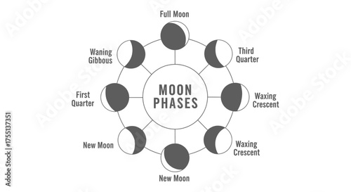 An Illustrated Guide to the Various Moon Phases Throughout the Lunar Cycle and Their Celestial Significance