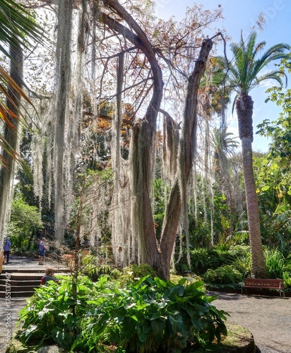 jardin Botanique de Puerto de la Cruz à Tenerife