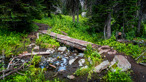Hiking Trail to Tod Lake at Sun Peaks British Columbia