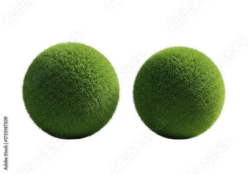 Two green fuzzy spheres isolated on white background