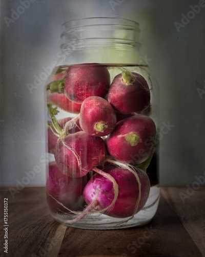 Still Life Radishes