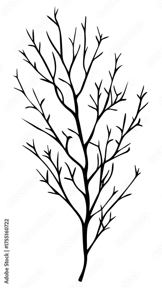 Obraz premium PNG Minimalist black tree silhouette, transparent background