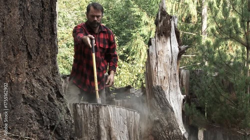 Lumberjack Chopping Wood with Sound