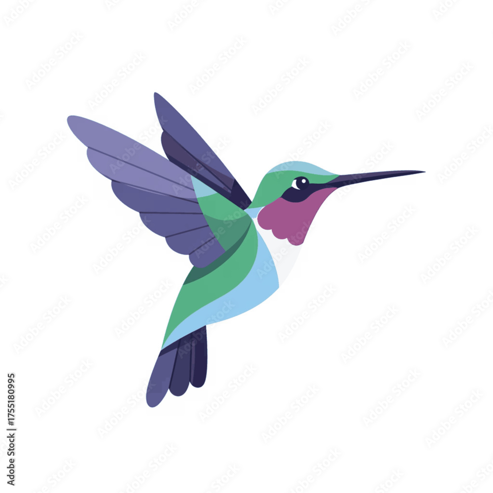 Obraz premium Colorful Hummingbird Flying Isolated