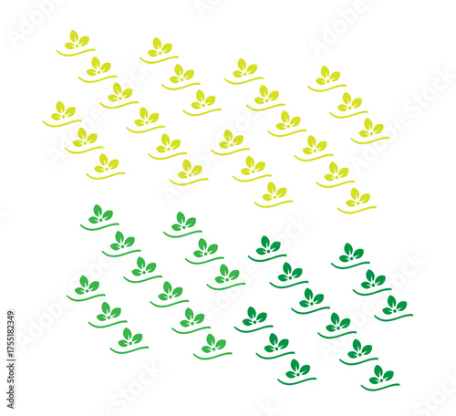 pattern design