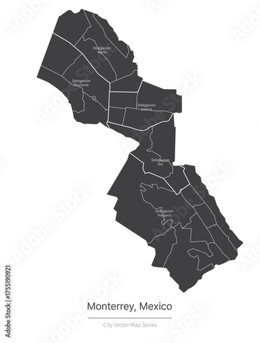 monterrey Map. vector map of city in the mexico.