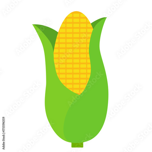 Corn Illustration
