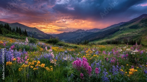 Wildflowers of various colors blanket the valley as a vibrant sunset casts warm hues over the mountains.