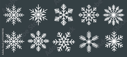 Winter snowflake collection, isolated vector illustrations, hand-drawn icy designs, decorative frozen patterns, Christmas holiday elements, festive winter graphics, snowflake icons, seasonal decoratio