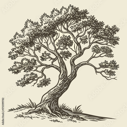Hand Drawn Tree Vintage Rough Woodcut Engraving Linocut Style Vector Illustration