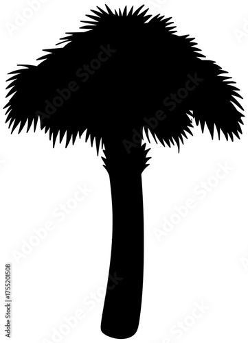 Sabal Palm Tree Silhouette Vector Shadow Illustration