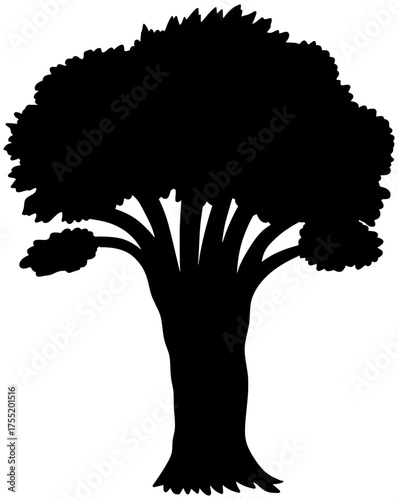 Plains Cottonwood Tree Silhouette Vector Shadow Illustration