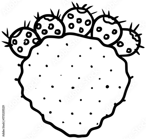 Prickly Pear Cactus Fruit Vector Outline Line Art Drawing