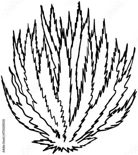 Sagebrush Plant Vector Outline Line Art Drawing