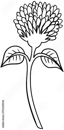 Red Clover Flower Vector Outline Line Art Drawing