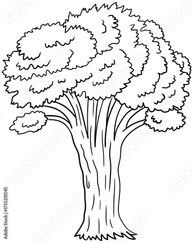 Plains Cottonwood Tree Vector Outline Line Art Drawing