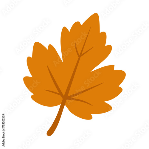 Flat vector illustration of an orange autumn leaf, simple seasonal design, isolated on white background.